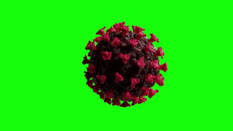 Realistic 3D animation rendering of coronavirus 2019-nCoV COVID-19 single cell on green background for future compositing