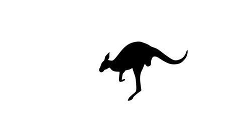 Jumping kangaroo, animation on the white background