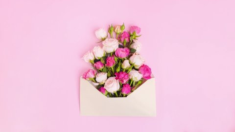 Stop motion animation opening envelope and growing flowers on pink background. Creative flat lay love spring wedding  concept