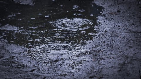 Raindrops Falling In Puddles On の動画素材 ロイヤリティフリー Shutterstock