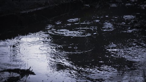 Raindrops Falling In Puddles On の動画素材 ロイヤリティフリー Shutterstock
