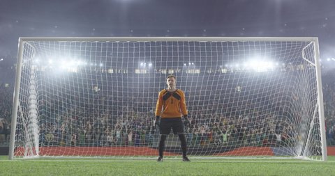 Soccer goalkeeper jumps and fails to catch ball on a professional soccer stadium. Mask of the foreground added in the end of the video.  Stadium and crowd is made in 3D and animated