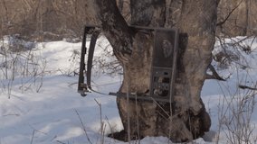 Concept an old broken TV set in a winter forest on a clear day. - Powered by Shutterstock - Get 15% off with code: PIKWIZARD15