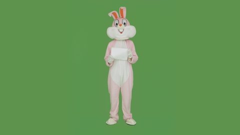 Easter Bunny dances on chroma key, green screen. Easter rabbit holds shows blank poster, broadsheet, placard. Plush rabbit roger, rabbit growth costume, bunny suit.