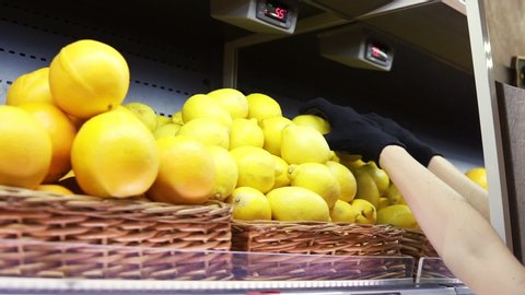 Close up of female worker in black gloves stocking the lemons in supermarket. Young employee at work. Curly female arranging lemons on shelf. Slow motion