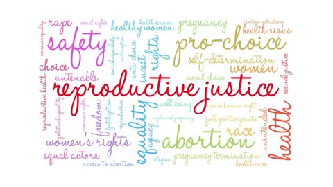 Reproductive Justice word cloud on a white background.