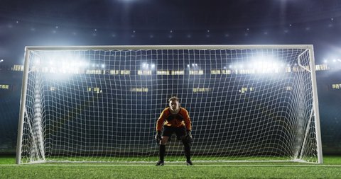 Goalkeeper fails to save from a goal on the empty soccer stadium. No spectators on the tribunes. Stadium is made in 3D.