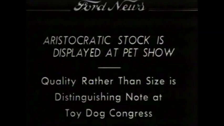 CIRCA 1930 - A dog show in 1934.