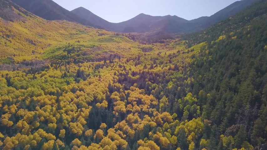 Trees changing color in the fall. 