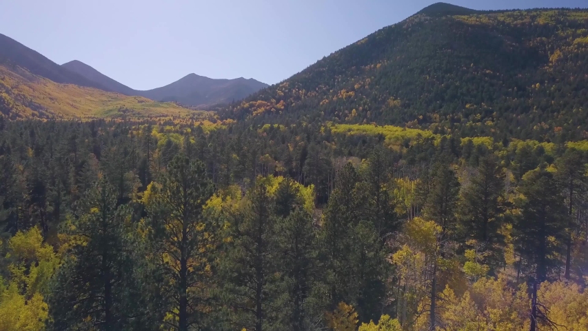 Trees changing color in the fall. 