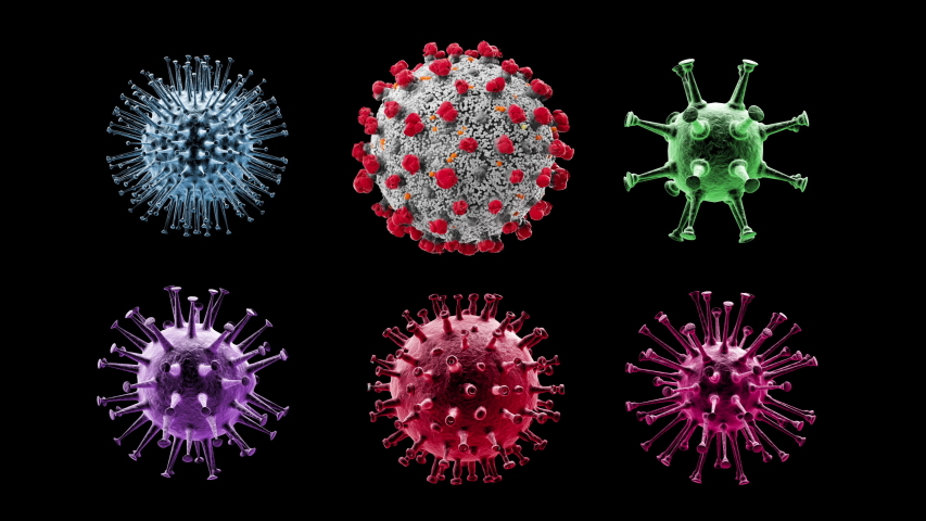 Set of Virus Cells Pack with Seamless Loopable Rotation. Isolated  3D Animation of Various Viral Cells Floating, Coronavirus, COVID-19, H1N1, Influenza with Compositing Luma Mask. | Shutterstock HD Video #1048652746