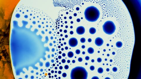 Marangoni effect, phenomenon. Biological research, scientific chemical experiment. Moving particles, organized bubbles in a liquid environment. Colorful fluid spreading on the surface, ink diffusion.