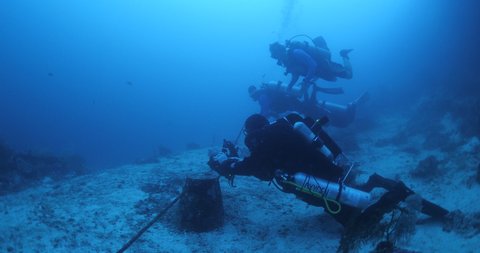 Scuba Divers Behind Line Waiting Thresher Stock Footage Video (100% ...