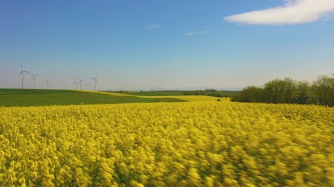 Canola seed fields in Lower Austria, drone flight aerial footage over agrictural used farmland