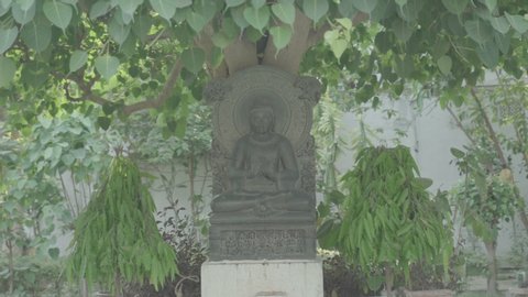 Buddha Statue incompound of Japanese Temple Sarnath