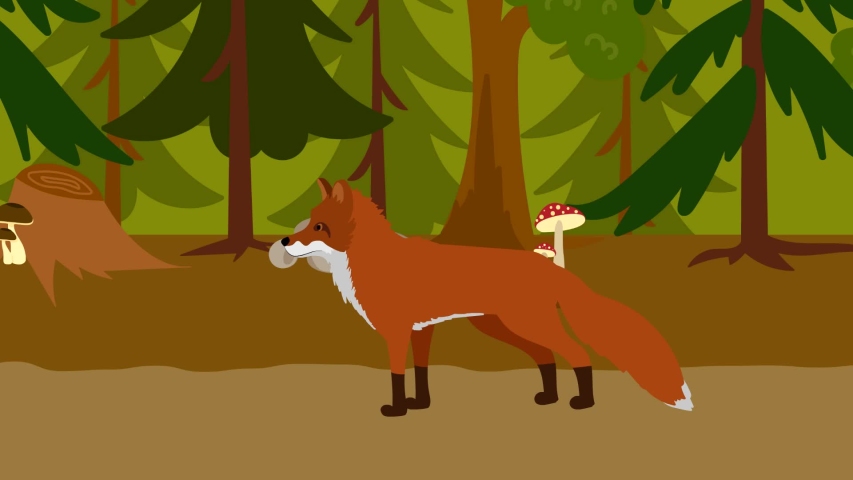 Cartoon fox flat animation video