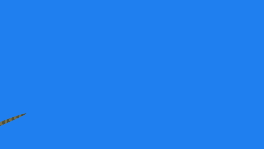 Cartoon narval flat animation video