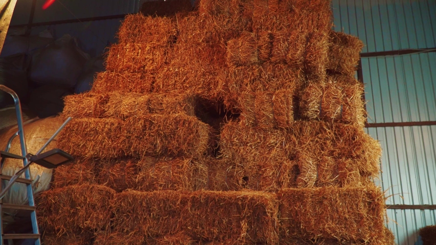 A bunch of rye straw bales are in stock hangar. Harvest.