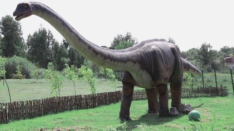 Minsk, Belarus, 08.2019 Huge brachiosaurus is a genus of sauropod dinosaur that lived in North America during the Late Jurassic. Giant creature moves his paws, tail and growls in the forest
