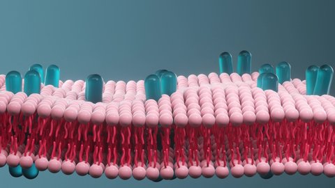 cytomembrane and biology, life and health, 3d rendering.