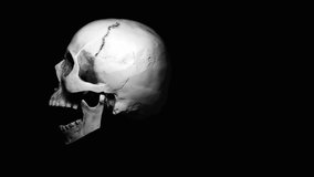 Black and white rotating skull on black background, skeleton head for anatomy classes in Schools and Universities. Infographic of skull's bones. High quality skull replica. 4K video