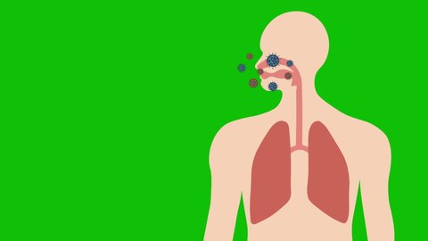 Animation of Corona Virus or Covid-19  in Human in Respiratory system and lungs