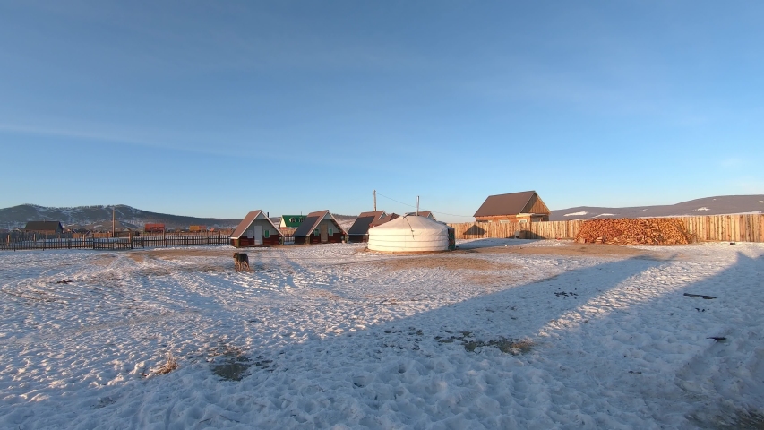 Dog Barking Outside Nomadic Ger In Rural Town Of Khatgal, Mongolia
