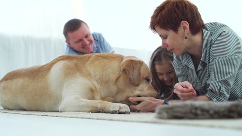 Cheerful Family of Three Playing with Dog While Lying on the Carpet at Home. Labrador Retriever Dog Licking Hand of Mistress who Hiding a Treat. Domestic Animals and People Concept