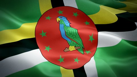 Dominica flag Motion Loop video waving in wind. Realistic Dominican Flag background. Dominica island Flag Looping Closeup 1080p Full HD 1920X1080 footage. Dominica asia country flags footage video for