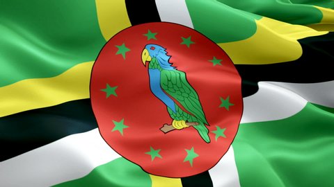 Dominica waving flag. National 3d Dominican flag waving. Sign of Dominica island seamless loop animation. Dominican flag HD resolution Background. Dominica flag Closeup 1080p Full HD video for present
