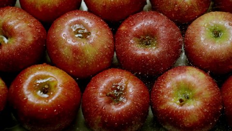 slow motion of splashing and spraying water on red apples. water drops on a group of red apples
