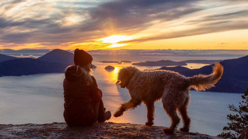 Cinemagraph Continuous Loop Animation. Adventurous Girl Hiking on top of a Mountain with a dog during a colorful sunset. Taken on Tunnel Bluffs Hike, near Vancouver, British Columbia, Canada.