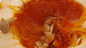 Scooping seeds from an acorn squash. The hearty autumn vegetable can be stored through the winter and the seeds can be saved and roasted. Orange gourd is delicious for vegetarian and vegan lifetyles. - Powered by Shutterstock - Get 15% off with code: PIKWIZARD15