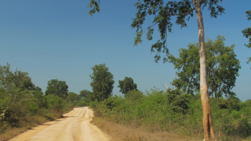 modern vehicle drives along ground road with shadows between high green grass and trees slow motion. Concept active leisure