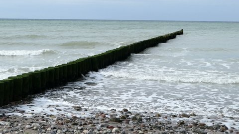 Baltic sea coast at darss peninsula. Waves at wooden groynes along. sturmy weather.