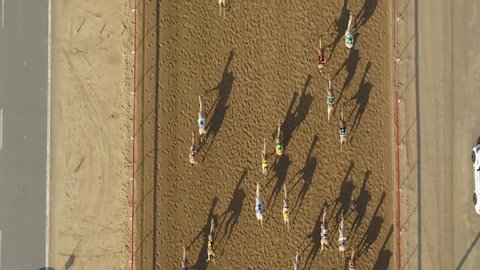 Al Wathba, Abu Dhabi, United Arab Emirates - 01/1/2012 : pull back shot & bird eye view of camels running the race, drone shot.