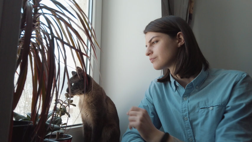 Female stays at home during quarantine. Preventing coronavirus disease. Siamese cat sitting on a windowsill.