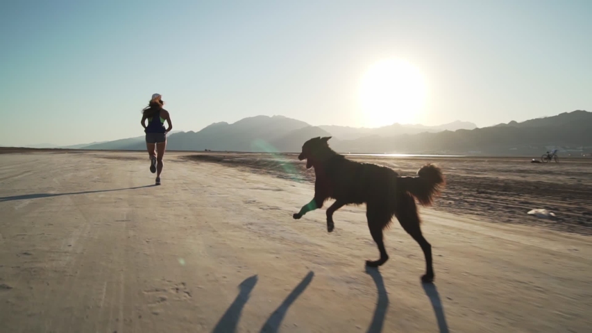 Fit female runs with her funny dog in dry desert at sunrise rapid slow motion
