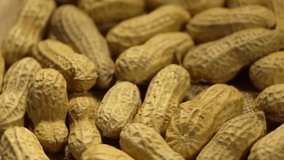 Macro video, the forgiving of nuts in a peanut shell. Inshell peanuts background texture