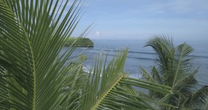 Aerial view of palms at Balangan beach, Bali, Indonesia