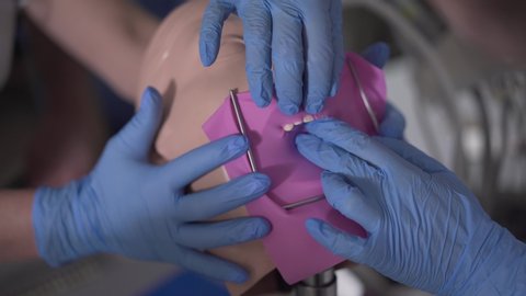 Female Caucasian hands in blue gloves installing pink cofferdam on dental mannequin. Close-up of unrecognizable dentists practicing manipulation. Medicine, odontology, profession.