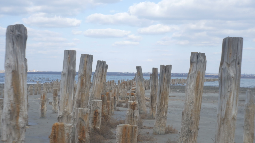 Pillars of old wooden pier