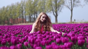 4k video. magical netherlands landscape with beautiful long red hair woman wearing in striped dress. Girl holding bouquet colorful tulips flowers and standing on purple tulip fields. Spring concept