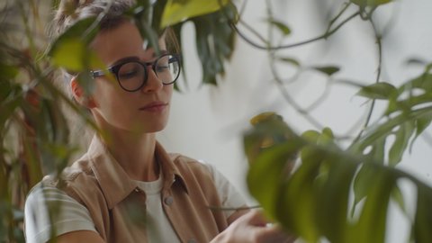 View through monstera leaves of young Caucasian woman in glasses spraying plants with water while taking care of her houseplant shop