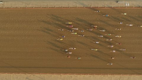 Al Wathba, Abu Dhabi, United Arab Emirates, 01/1/2012 : Birds eye view, straight from the top, view of camels running in camel race, drone shot.