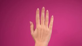 Closeup view 4k video of one beautiful female hand with pastel pink manicured nails isolated on bright background counting from zero to five using her fingers.