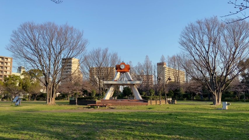 Park Cherry blossoms in Japan, Tokyo Landscape