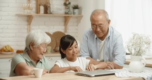 Retired asian couple spending theit time with teen graunddaughter in kitchen, surfing the internet on a laptop - family bonds concept 4k footage