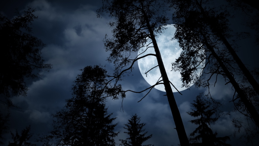Full moon behind tree branches on a cloudy night sky. Overhead giant moon shining on silhouettes of trees during a walk. Royalty-Free Stock Footage #1049174740