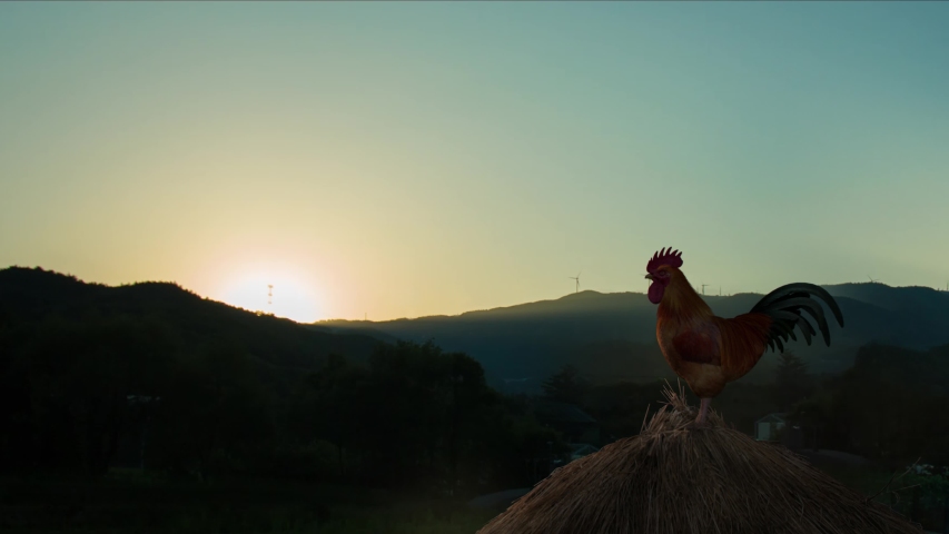 The rooster crowing, the countryside in the mountains illuminated by the rising sun Royalty-Free Stock Footage #1049181724